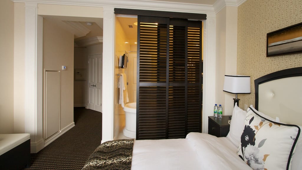 Louvered Doors: the Ingenious Space Saver